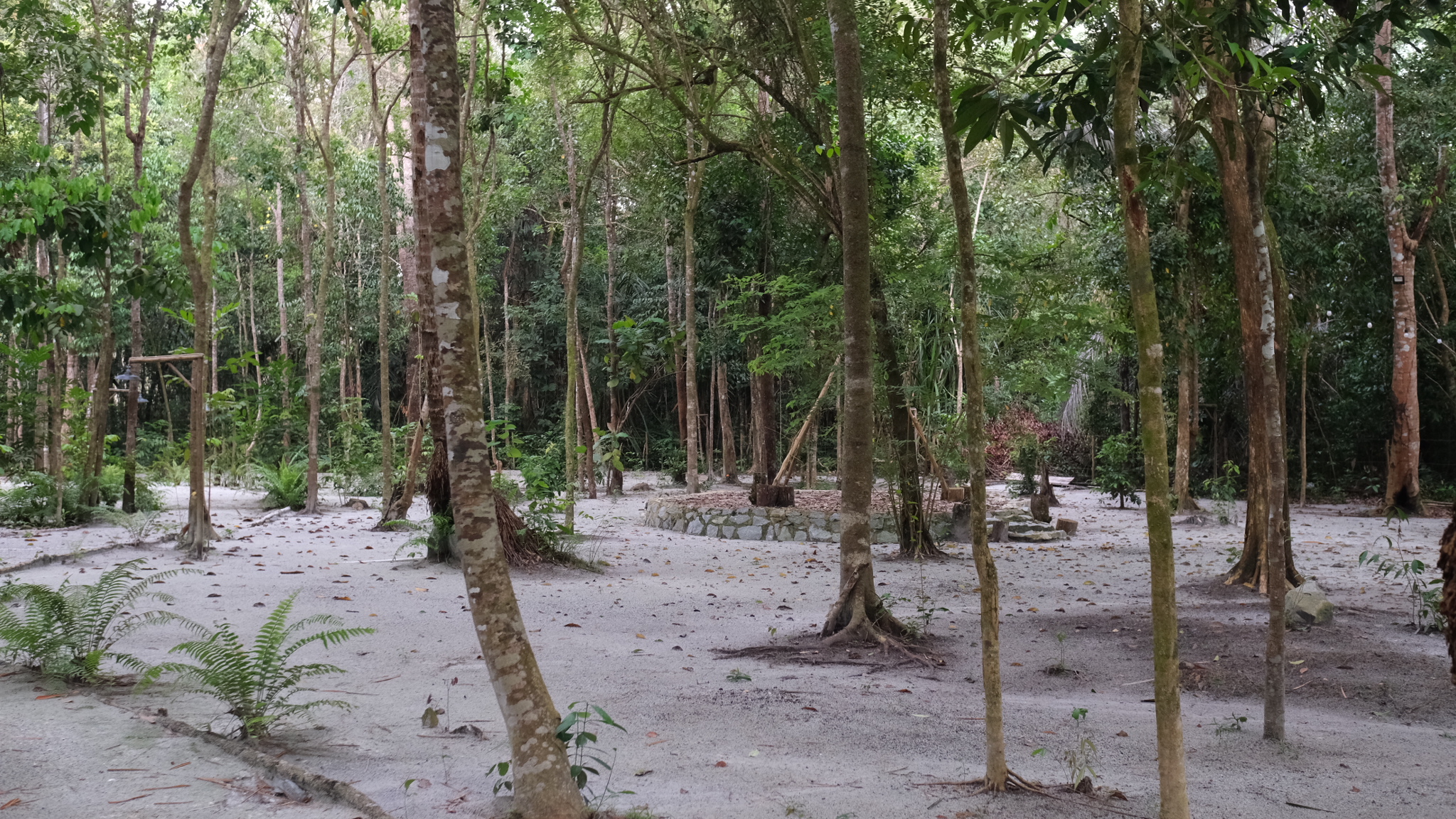 Ashamaya Belitung Eco Lodge 